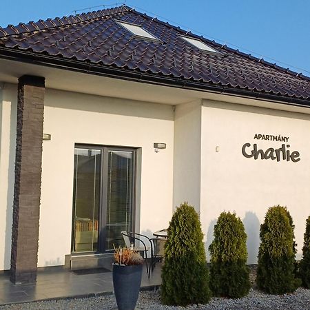 Apartmany Charlie Bešeňová エクステリア 写真